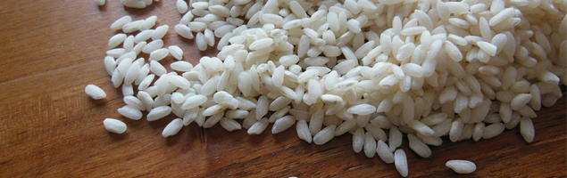 Museo del arroz en Valencia