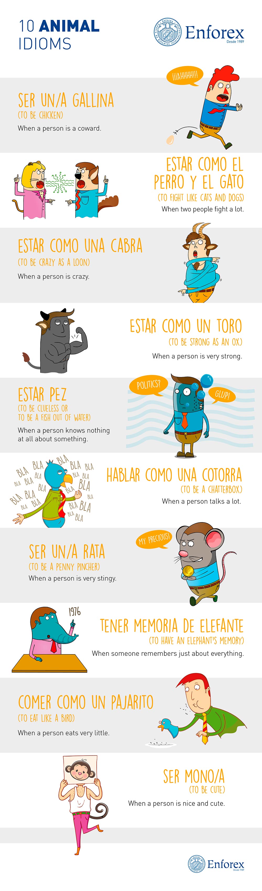 25 Hilarious Spanish Idioms That'll Brighten Your Day