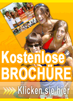 Free Brochure