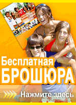 Free Brochure