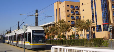Aktivit&auml;ten & Ausfl&uuml;ge in Valencia
