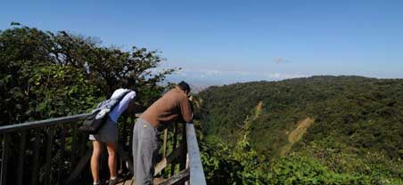 Monteverde Facts