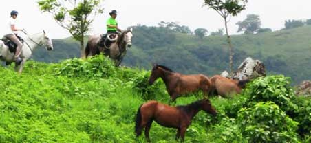 Things to do in Monteverde