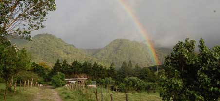 Monteverde Guide Introduction