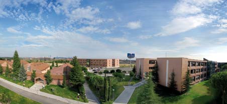 Campo estivo Madrid