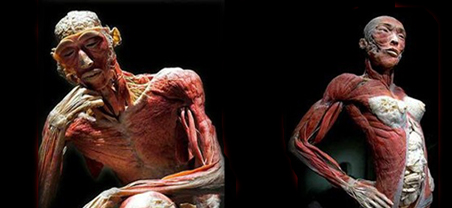 Body Parts in Spanish - Spanish Vocabulary