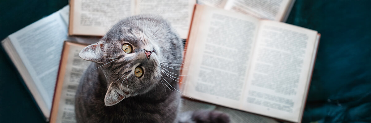 spanish literature classics