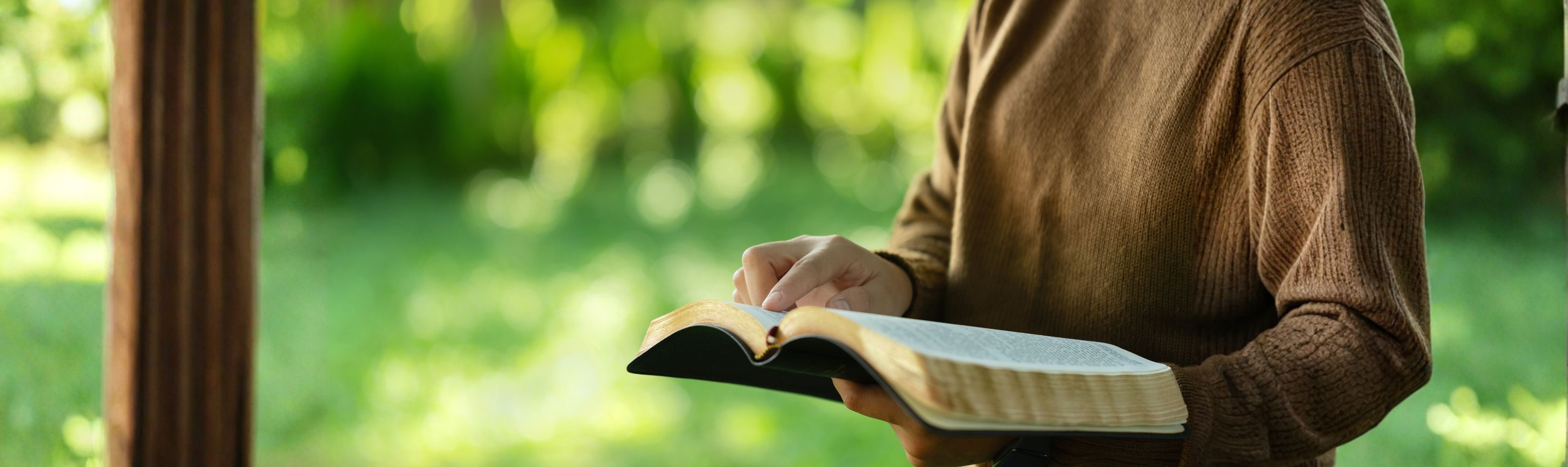 Polysemous words in Spanish