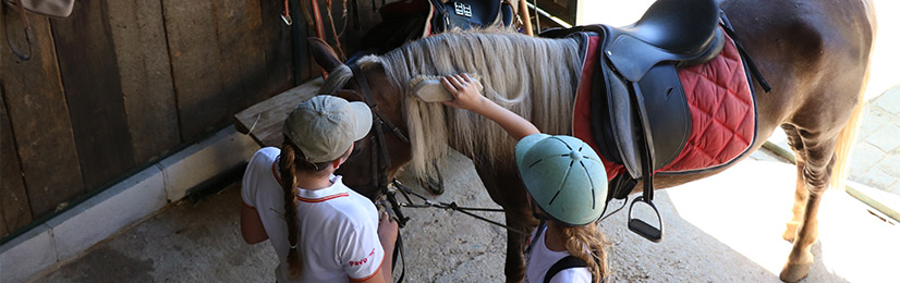 Horseback Riding Summer Camp