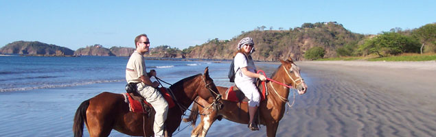 Visit Flamingo Beach During...