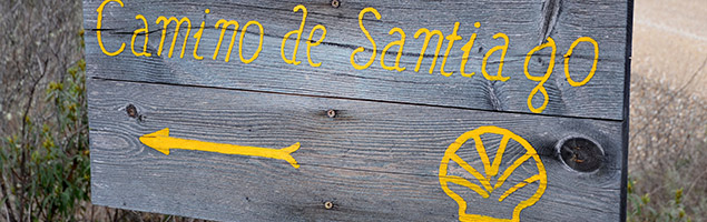 caminos de Santiago