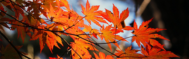 The Most Beautiful Autumnal Landscapes in Spain