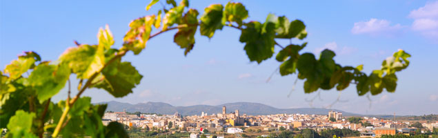 Excursión a Requena - Valencia