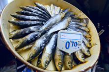 Sardinas