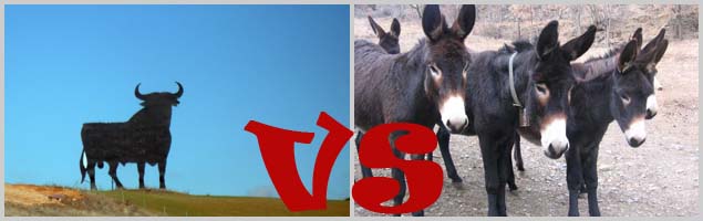 Osborne Bull-The Catalan Donkey