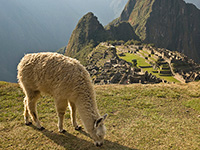 ciudad cuzco