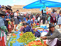 ciudad sucre