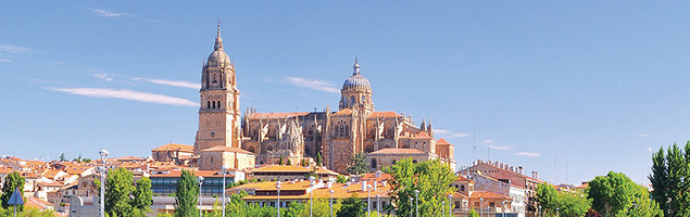 Vistas de la catedral de Salamanca