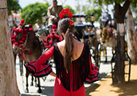 activities cadiz