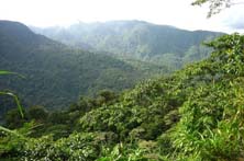 Braulio Carrillo National Park