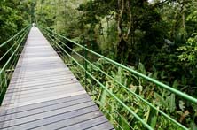 Puerto Viejo Bridge, Heredia