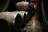 Wine Barrels