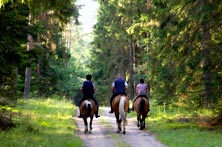 Horseback riding in Monteverde