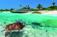 Guida di Playa del Carmen