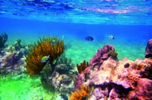 Puerto Vallarta Počasí