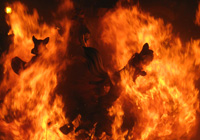 Fire at Fallas