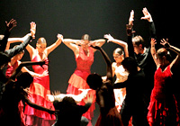 Tanztechnik Flamenco