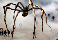 Giant Spider