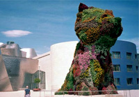 guggenheim bilbao