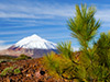 Tenerife